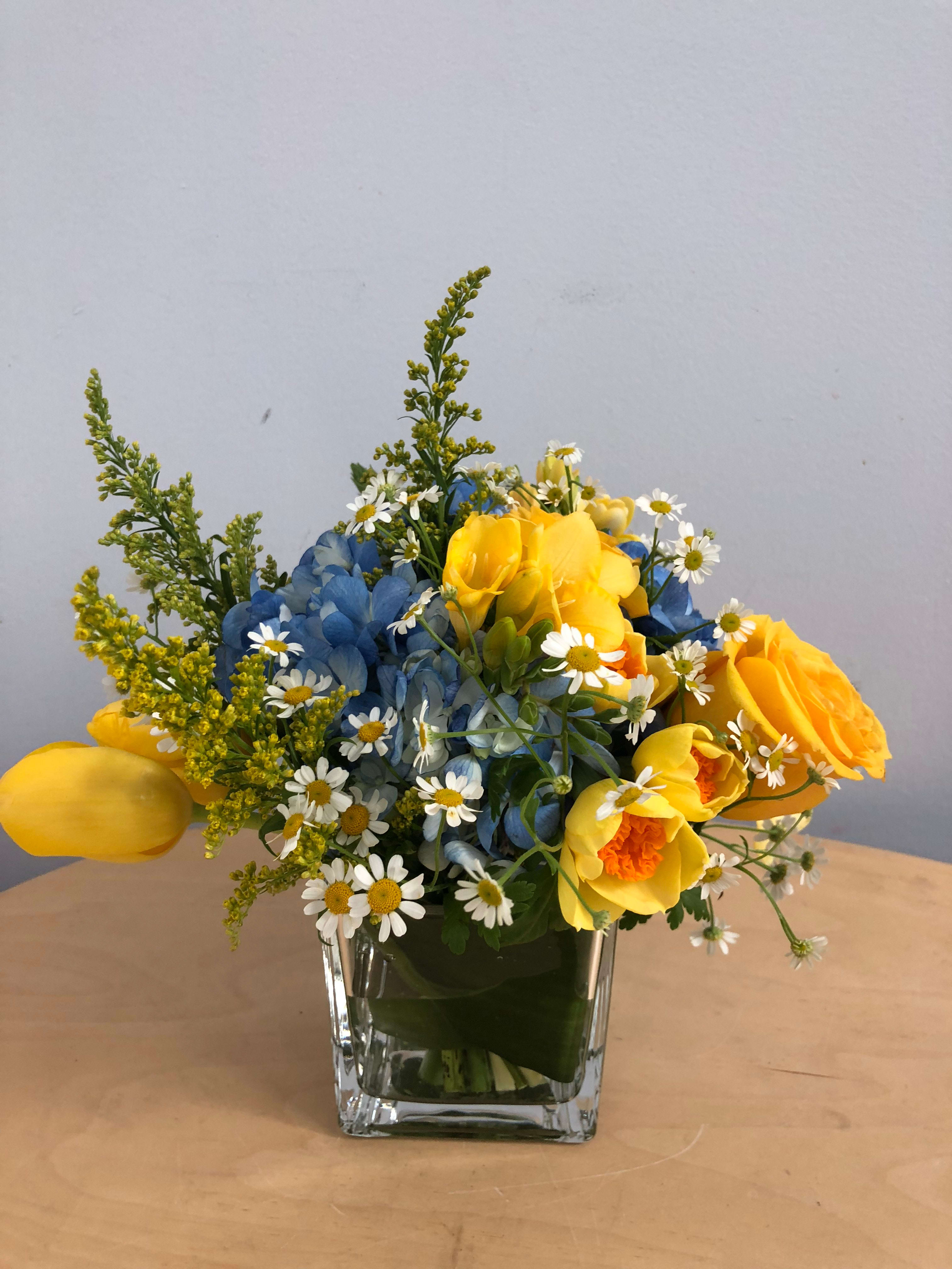 Spring in Cube - When we think of spring, this yellow and blue floral design comes to mind!  Cheerful chamomile flowers, yellow freesia, yellow tulips, yellow roses, blue hydrangea and yellow solidago wildflowers create the perfect spring vibe. You’ll be transported to warm spring days as soon as you see this flower arrangement! The design is presented in a 4&quot; clear glass cube vase. Standard size pictured. Larger sizes available. Flowers and vase will vary based on availability.