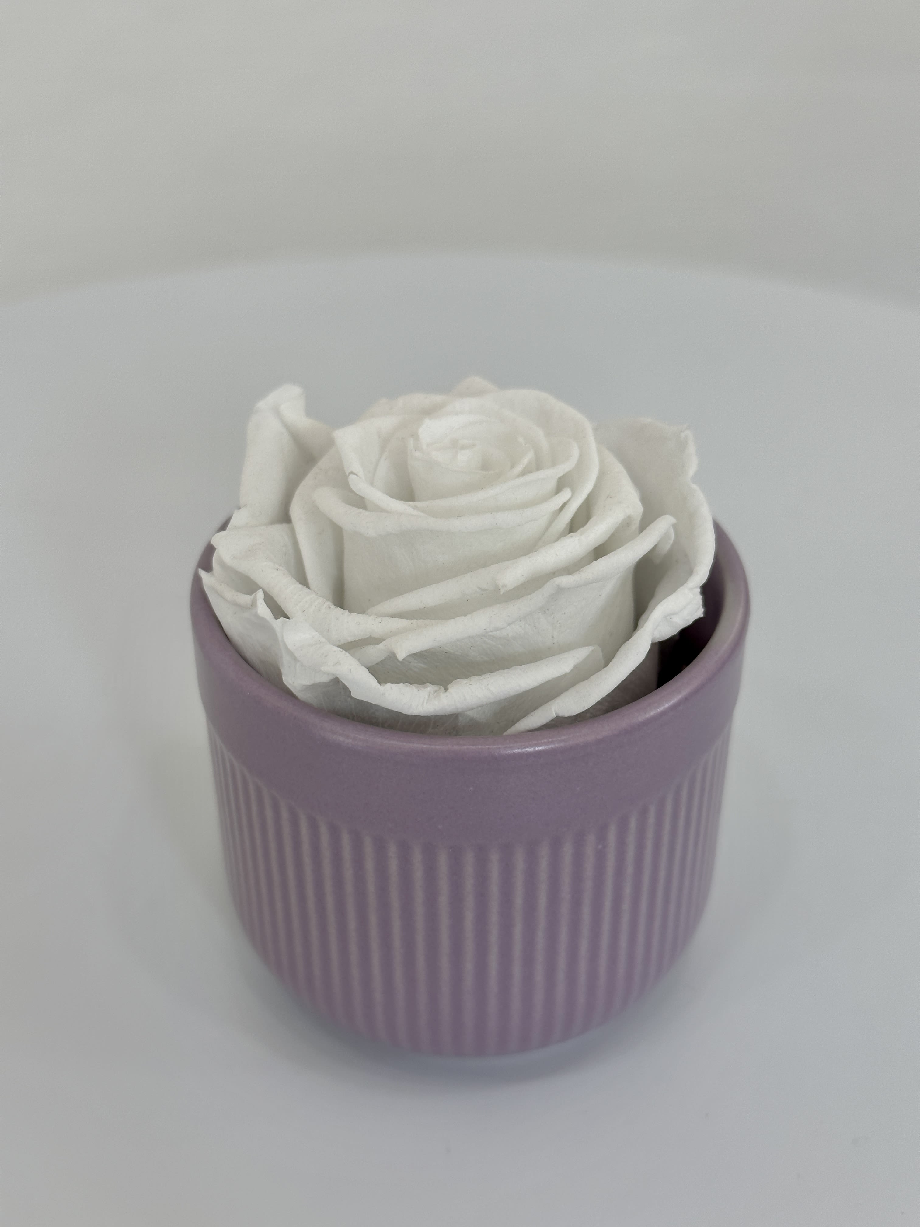 Single White Eternal Rose - Introducing our exquisite single eternal rose, elegantly displayed in a chic vase. This stunning bloom captures the essence of timeless beauty, preserved to last for years without fading. Perfectly crafted, the rose embodies elegance and grace, making it a meaningful gift or a striking accent for your home decor.  