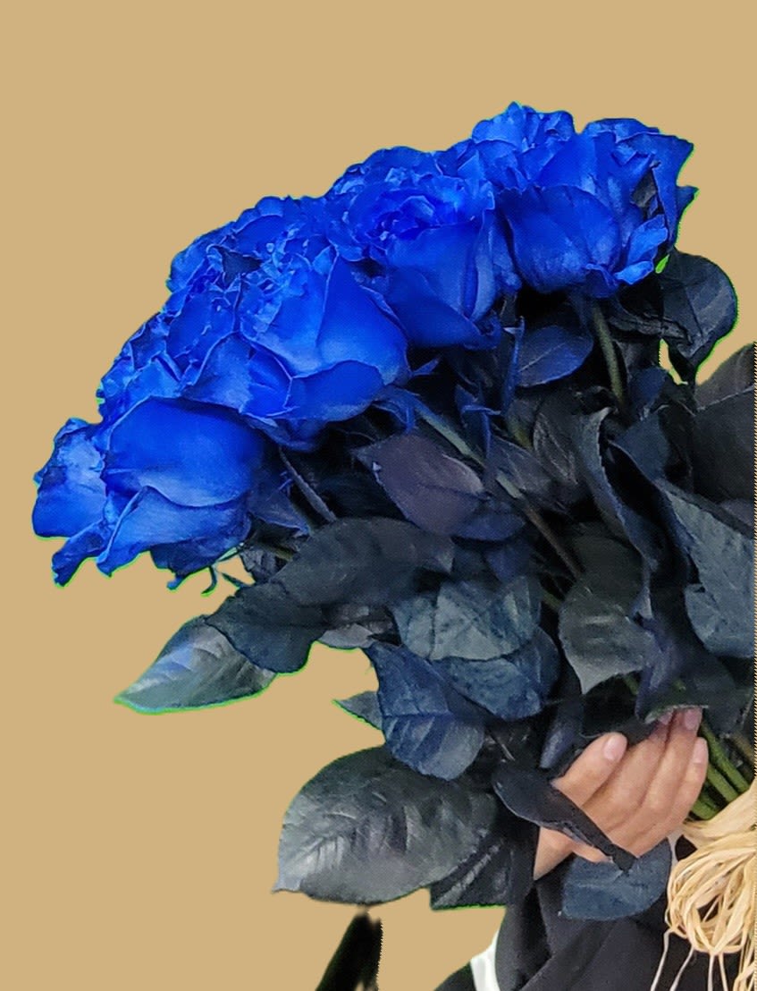 Cinderella  - Blue Roses
