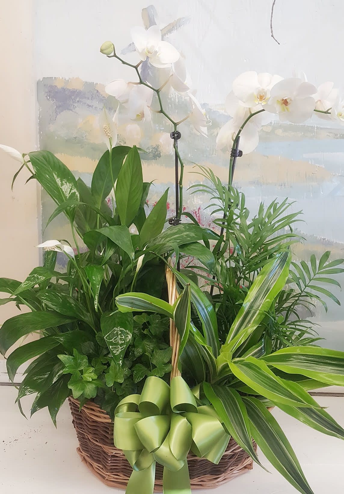  LUXURY ORCHID DISH GARDEN -  Exquisite. Beautiful. These exotic orchid plants make a loving way to honor a very special someone who has passed away. The graceful Phalaenopsis Orchids has been styled by an artisan florist, placed in a simple glass cylinder planter garnished with river rocks. It makes an elegant and understated tribute that’s a testament to the life you’re celebrating and to your extraordinary taste. It sends a touching message of sympathy and comfort to a wake or for delivering your condolences to grieving family and friends at home.  Your purchase includes a complimentary personalized gift message