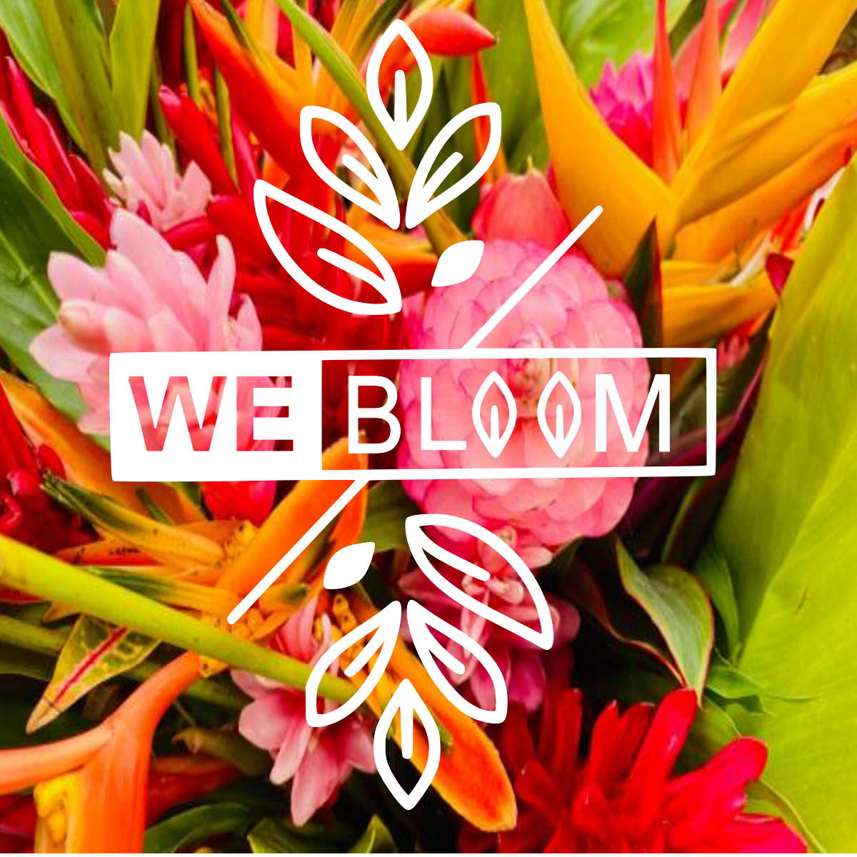 Tropical Paradise Medium Tropical Paradise Medium - Our designer's choice tropical arrangement typically features a curated selection of the freshest and most striking tropical blooms available for the season. Call our shop if you would like to know what we have in stock on Tropicals for the week at 8175165246. Also, you could leave your cell on the notes section and ask for us to send a picture if you would like.