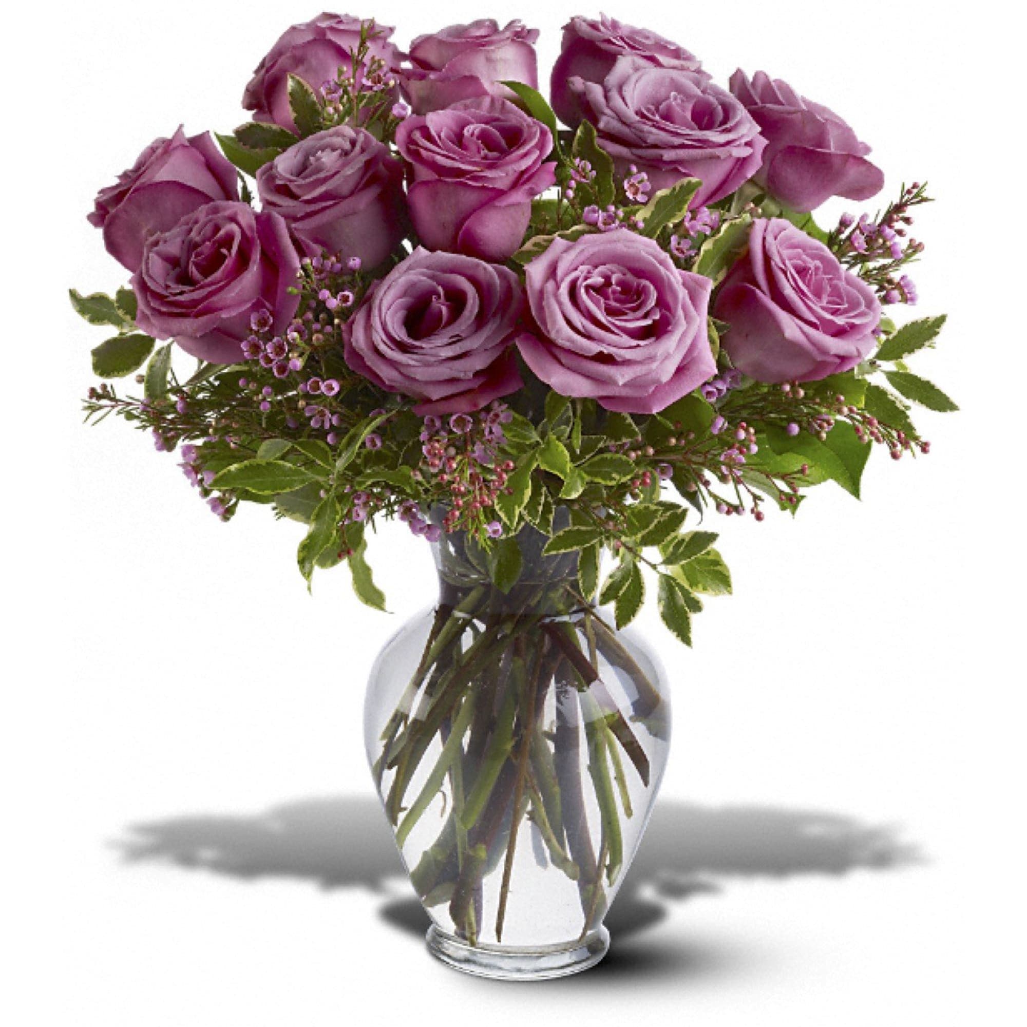 A Dozen Lavender Roses A Dozen Lavender Roses - 12 lavender roses, with variegated pittosporum and salal, arrive in a classic glass urn vase. Approximately 14" W x 16" H