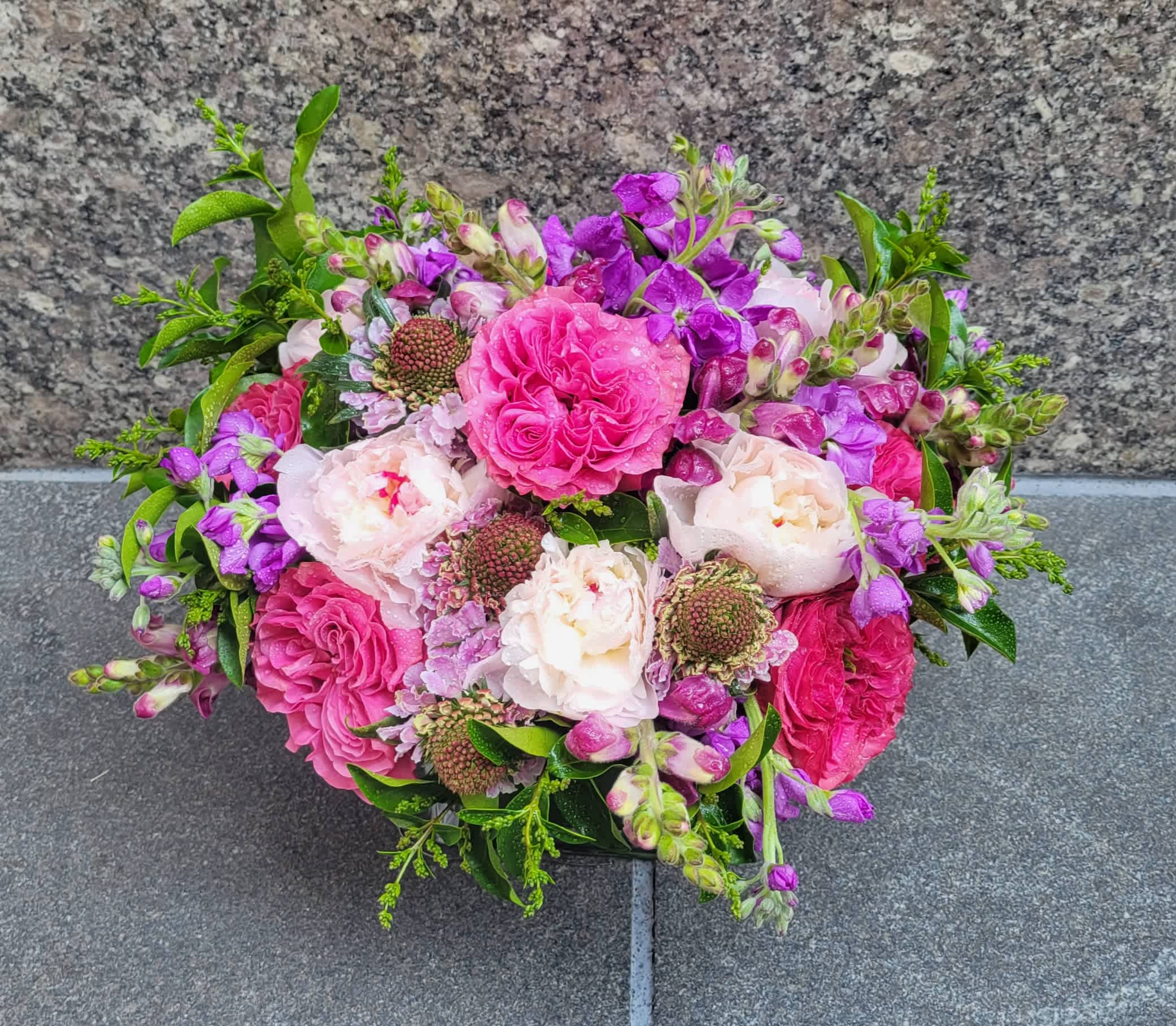 La Vega - Picture vibrant pink peonies and hot pink garden roses mingling amidst the lush purple stock and scabiosa blooms, reminiscent of the colorful landscapes found in the heart of La Vega. Each bloom tells a story of tropical allure and festive charm, evoking the lively energy of this beloved Dominican city. Perfect for bringing a touch of Caribbean warmth and vitality to any space, this arrangement is a vibrant ode to the beauty of La Vega.