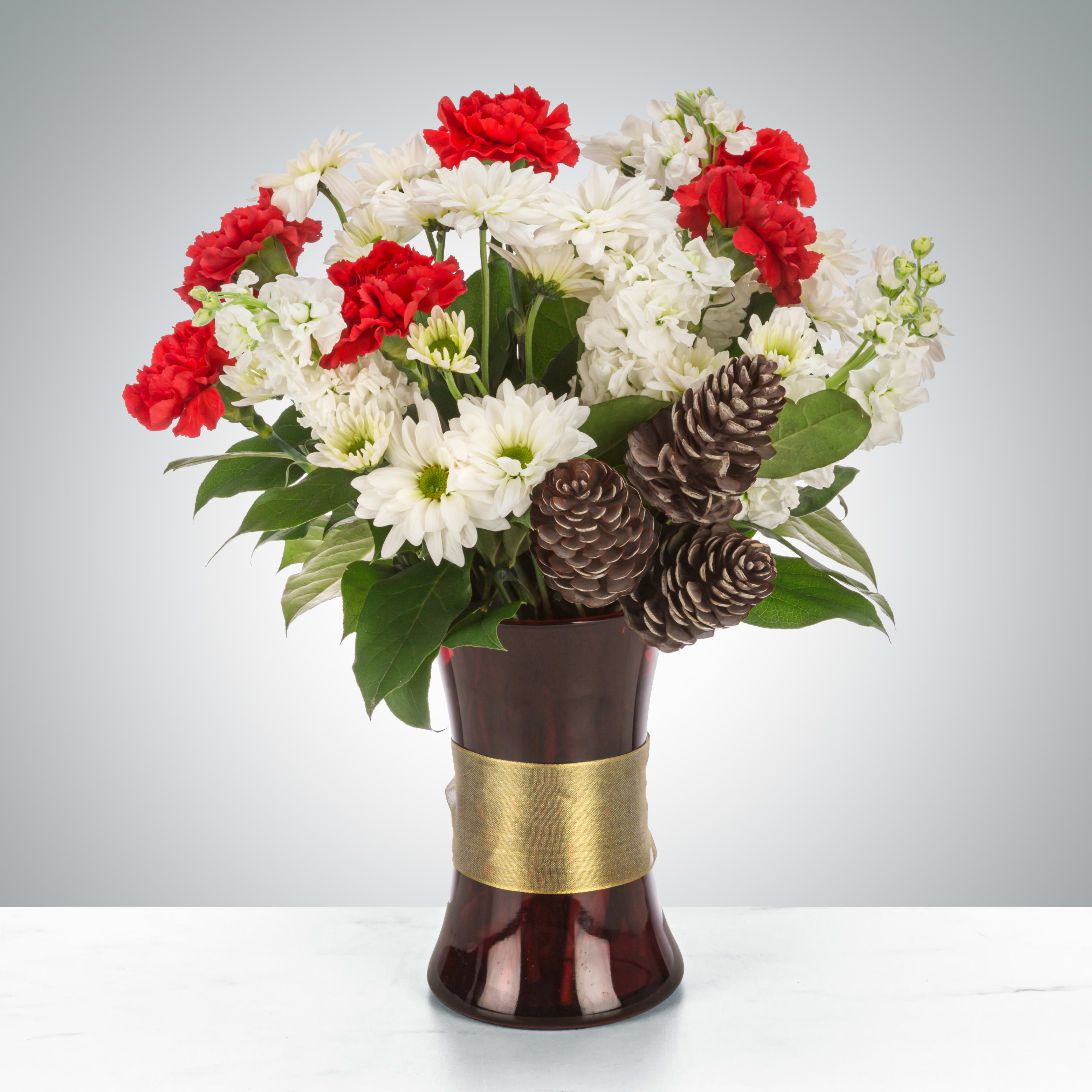 Joy to the World by BloomNation™ Joy to the World by BloomNation™ - Even if you are not into caroling, you can still bring joy to your neighbors, friends, and family! Send this arrangement featuring red carnations, white stock, and pinecones to wish the recipient a happy holiday! Approximate Dimensions: 11"D x 14"H