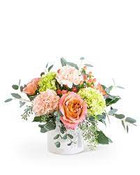 Redondo  - Free spirit roses with green hydrangea, peach carnations and coffee berry designed into a clean white vessel.