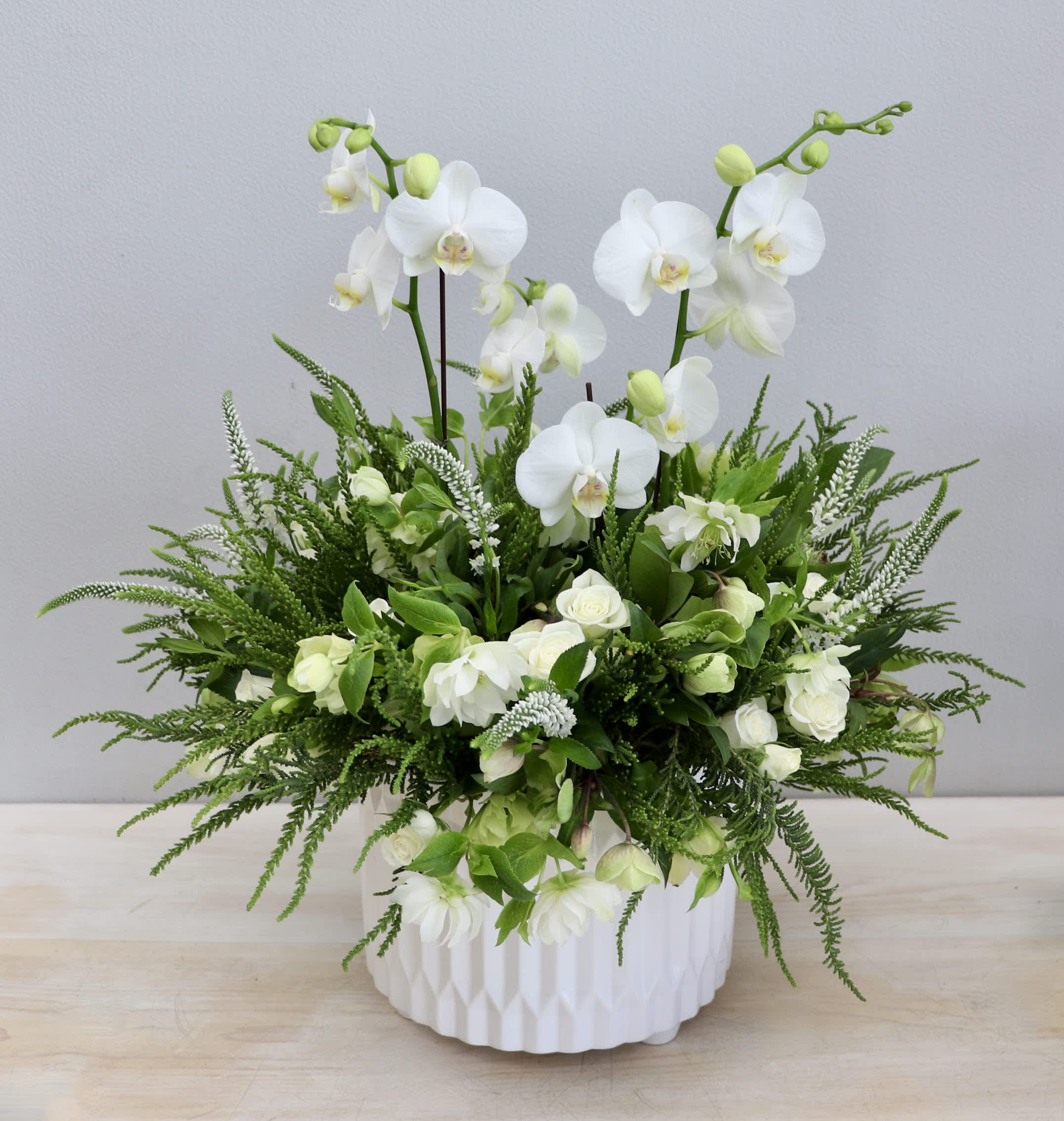 Majestic Bloom - My Glendale Florist  - In this Majestic bloom there are plant orchids that are surrounded by fresh cut flowers. Each upgrade adds an orchid and a larger size container with more flowers. 