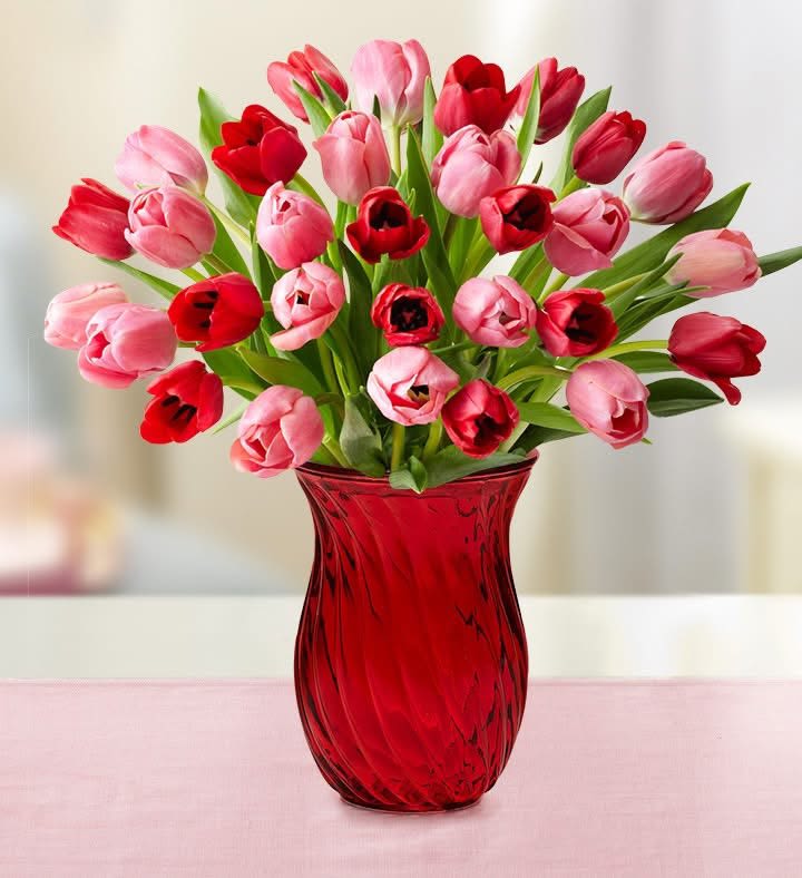Tulips mine Tulips mine - 24 beutiful tulips mix color