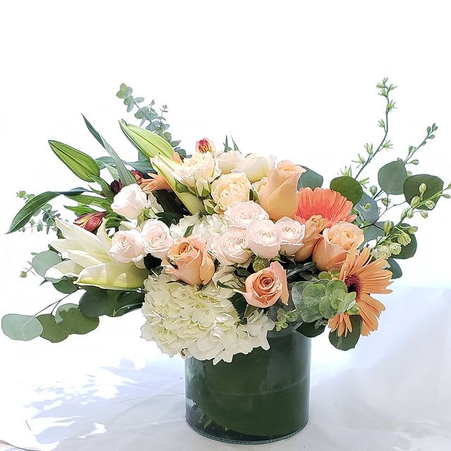 Peach Passion - A sweet mix of peach and white in season blooms with roses, hydrangeas, spray roses, gerbers, lisianthus, Lilies and other in season blooms designed in a classic cylinder vase wrapped in a  tealeaves.    Pictured is premium  