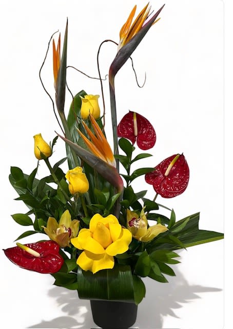 Be my Valentine Be my Valentine - This stunning arrangement features bright red tropical anthuriums, strelitzia (bird of paradise), yellow roses, and yellow cymbidium orchids, complemented with lush tropical greenery.