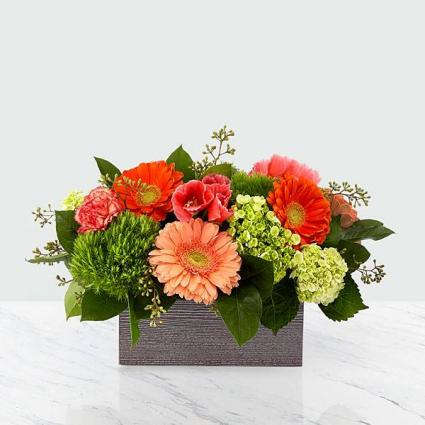 Box of cheer Box of cheer - This low profile, vibrant arrangement adds cheer to any space.