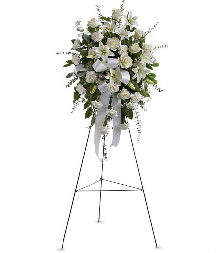 Sentiments of Serenity Spray Sentiments of Serenity Spray - Beautifully simple, this lovely spray of white roses, lilies and carnations decorated with white satin ribbon is a tasteful way to express your sympathy. The elegant spray includes white roses, white Asiatic lilies and white carnations, accented with assorted greenery. Approximately 25" W x 35 1/2" H