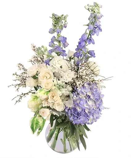 GRAND EXPRESSION VASE ARRANGEMENT - Be bold with this dazzling arrangement! With beautiful blooms of delphinium, spray roses, stock, hydrangea, and parrot tulips in darling blues and striking whites, Grand Expression makes the perfect gift!  Includes: Lula Vase, Dusty Miller, Seeded Eucalyptus, Genestra, Blue Delphinium , Blue Hydrangea, White Spray Rose, White Stock , Parrot Tulips.
