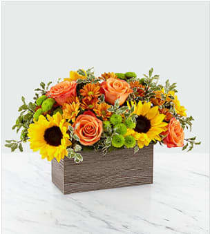 FTD Happy Harvest Garden FTD Happy Harvest Garden - Savor the freshness of fall with our Happy Harvest Garden. Packed with a collection of orange roses, bright sunflowers and butterscotch daisy pompons, this arrangement is a gorgeous gift for any occasion this Autumn. Whether it's for an inviting centerpiece or festive décor in any room, these blooms are sure to bring smiles all season long. Size is approximate.