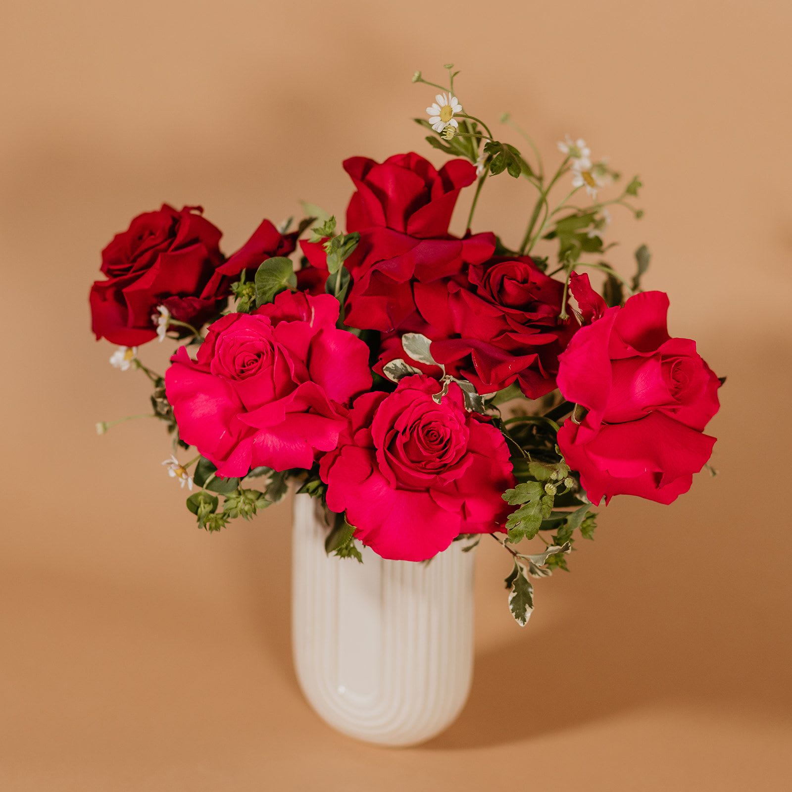 Half Dozen Roses - A six rose design in an elegant ceramic vase. Finished off with a deluxe paper lined gift box and our signature bow of premium ribbon to match. 