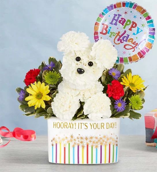 Party Pooch Party Pooch - A delightful one-sided floral arrangement featuring white carnations, Athos poms, yellow daisy poms, red mini carnations, and purple Monte Casino blooms, complemented by assorted greenery. This charming design is crafted in the shape of a dog, complete with detailed eyes and a nose, adding a playful touch. It is artistically arranged in our “Hooray! It’s Your Day!” keepsake container, decorated with vibrant sparklers and metallic bursts of light. The container measures 5"H x 8.6"L x 4.25"W. The full arrangement measures approximately 12"H x 11"W. Each piece is uniquely hand-designed by our talented florists, ensuring slight variations in colors and flower types due to local availability.