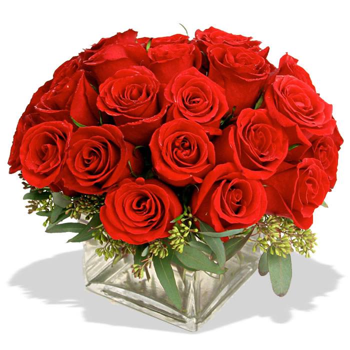Red Glory Red Glory - Celebrate your fiancé’s special day with the heartfelt sentiment of our Love to Tango bouquet. Bursting with vibrant colors and exuding an irresistible charm, this bouquet is the perfect expression of your love and admiration. As you wish your beloved a happy birthday, let the Love to Tango bouquet serve as a symbol of your deep affection and unwavering commitment. Each bloom dances gracefully, echoing the joy and excitement of your shared journey ahead. With every petal, let your fiancé feel the warmth of your love and the promise of a lifetime of happiness together. May this day be filled with laughter, cherished moments, and the sweetest surprises, as you celebrate the extraordinary person they are and the extraordinary love you share. Happy birthday to the one who makes your heart dance with joy! Surprise your partner with a bouquet that was made for romance. Try our best red Naomi roses, elegantly hand-tied and delivered to your doorstep as the picture-perfect gift