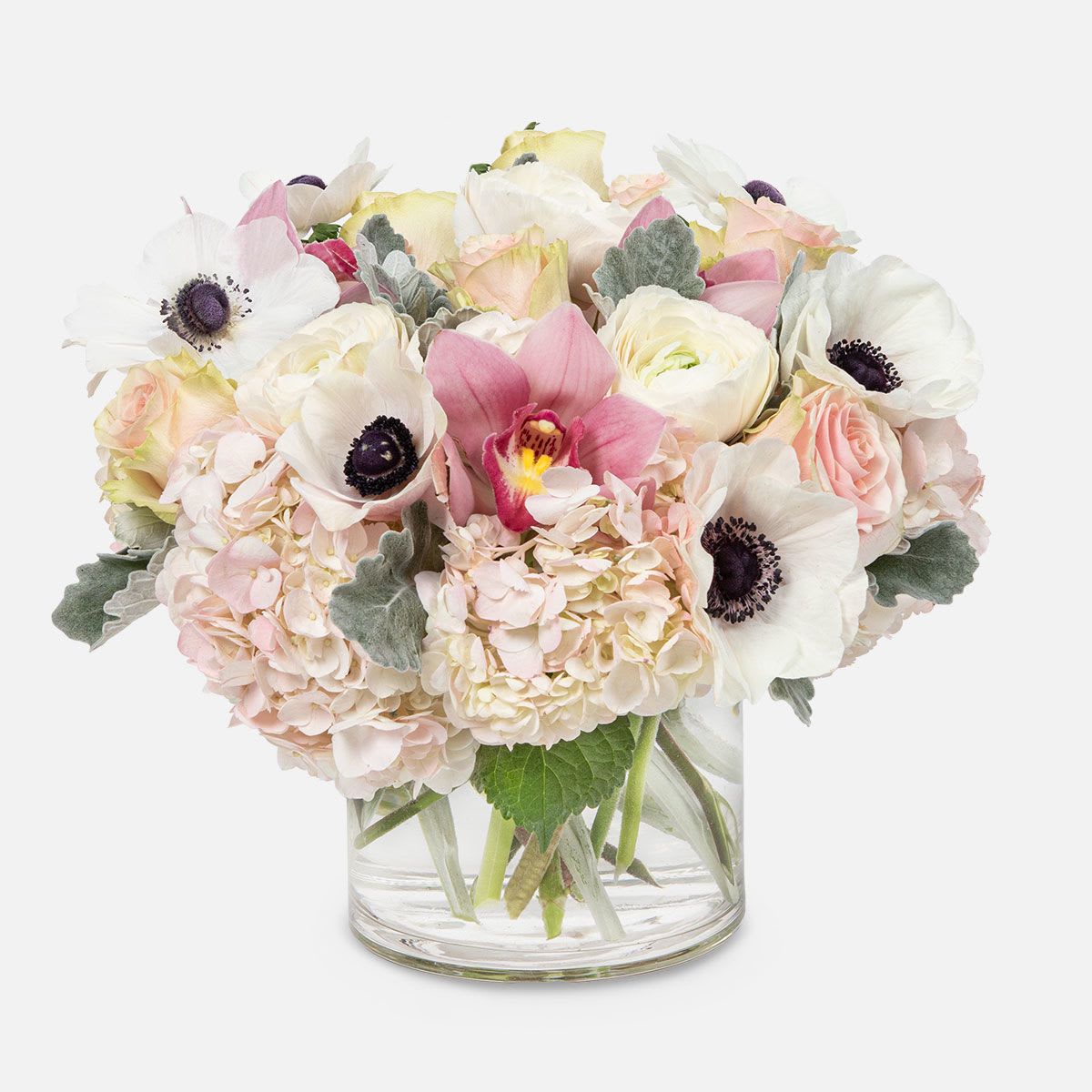 Patricia - [ Height: 11&quot; - 12&quot; | Diameter: 13&quot; - 14&quot; ] Pink hydrangeas, blush roses, blush ranunculus, white or blush anemones, pink cymbidiums, and dusty miller unite in this stunning arrangement, adding a touch of timeless beauty to any space.  PlantShed offers hand-delivery to NYC + NJ, 7 days a week. Send beautifully curated florals to your loved ones.