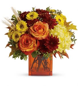  Teleflora's Autumn Expression  - Autumn is an awesome season and it's meant to be celebrated in style. Rich fall hues are on brilliant display in this beautiful arrangement that comes delivered in a classic cube vase.  The stylish contemporary arrangement includes yellow cushion spray chrysanthemums, bi-color orange roses, rust cushion spray chrysanthemums, yellow disbud chrysanthemum and yellow Viking spray chrysanthemums accented with assorted greenery. Delivered in an orange cube vase.  Approximately 13&quot; W x 11 1/2&quot; H