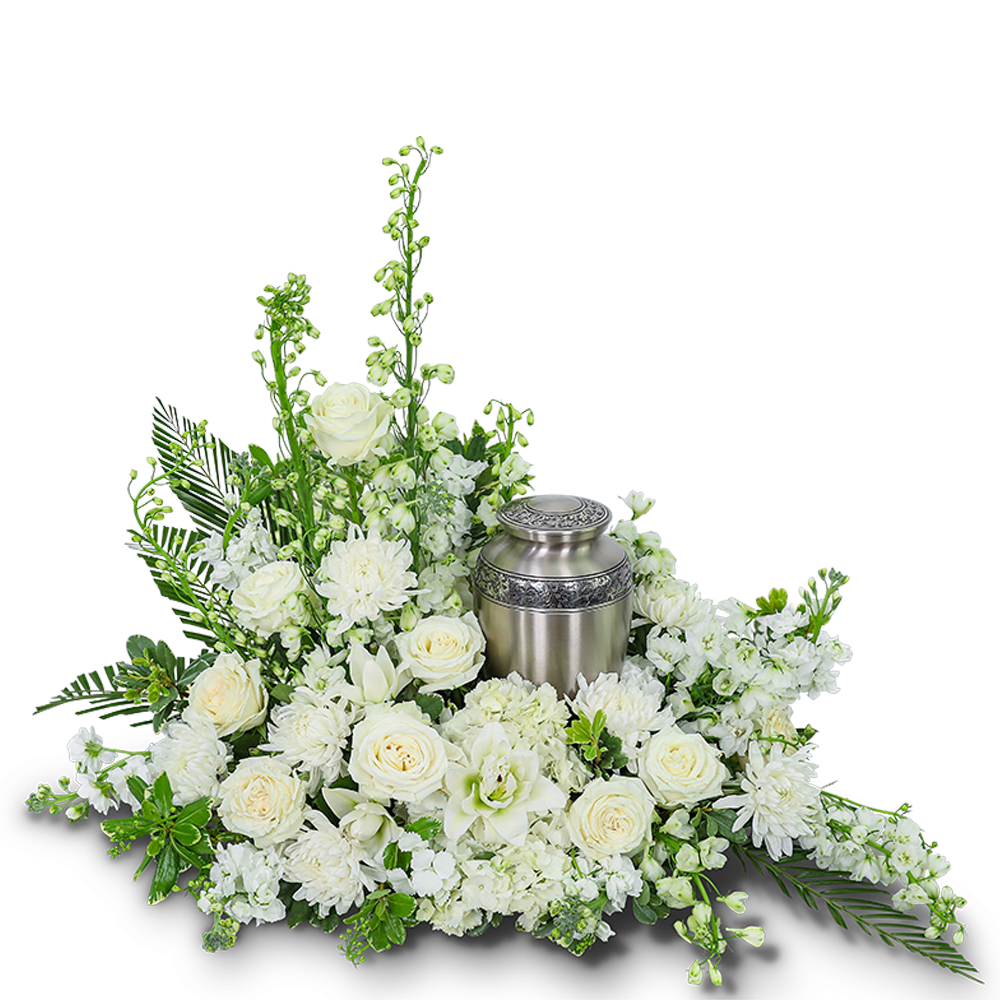 Pure Serenity Grande Cremation Tribute Pure Serenity Grande Cremation Tribute - The Pure Serenity Grande Cremation Tribute serves as a meaningful centerpiece during memorial services, creating a serene atmosphere that invites contemplation and reflection. It symbolizes the eternal bond shared with your loved one and offers solace to those who gather to pay their respects. This tribute is a beautiful expression of love and reverence. We understand the importance of honoring the life and legacy of your loved one with a fitting tribute of grace and beauty. This design features an exquisite arrangement of all-white flowers that encircle the urn as a symbol of serenity and combines a stunning array of roses, delphinium, hydrangea, lilies, stock, cremons, and premium foliage.