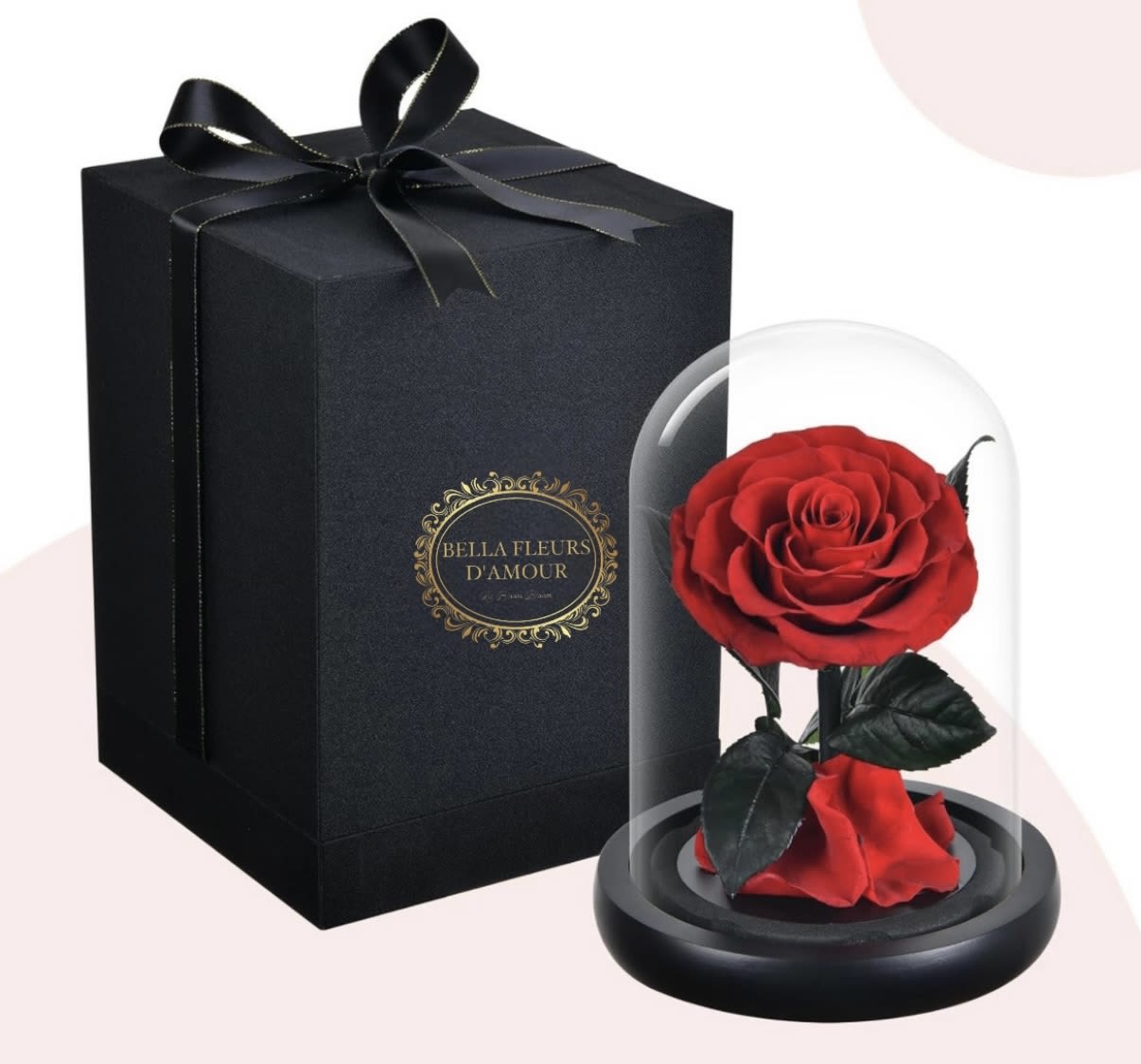 Beauty and the Beast Rose - Beautiful red preserved rose in a luxury glass dome, comes in a beautiful black gift box with bow! 