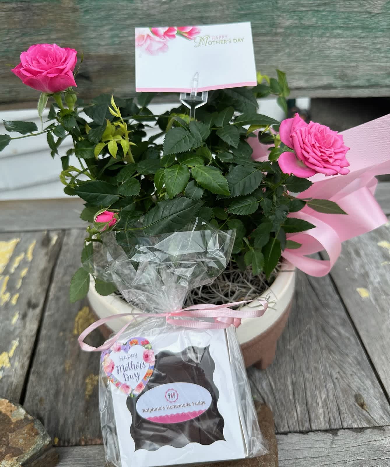 Mini Rose Bush And Fudge Mini Rose Bush And Fudge - Mini Rose bush and sweet Ralphina's fudge for Mom