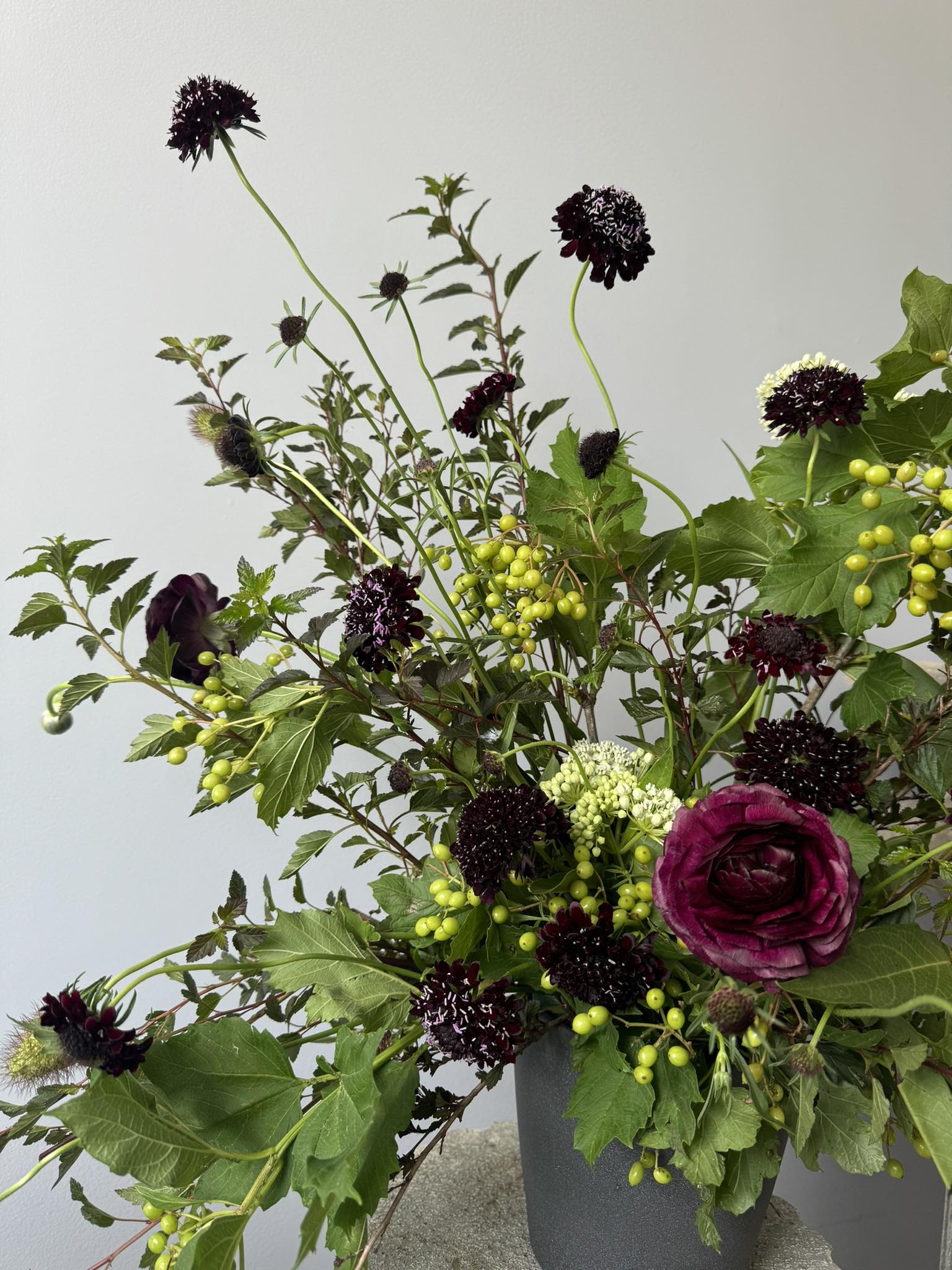 Elegantly Arranged Tall Vase - This arrangement style is perfect for those seeking the elegant look of a bouquet beautifully arranged in a special vase. Thoughtfully gathered, seasonally inspired flowers are placed in a tall vase for a striking presentation.  The images provided are examples of past designs to give a general sense of size, but may not reflect the final arrangement. While each piece is fully dimensional and lush, it is designed with a front-facing focal point. Exact sizing will vary based on flower availability, style preferences, and artistic interpretation.  For a broader view of past arrangements and the flowers of the current week, please visit our Instagram portfolio.