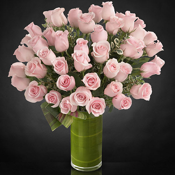LUX- Delighted - A moment of Delight and blushing radiance they will never forget. Includes 48 stems of Light Pink Mondial PREMIUM Ecuadorian long-stemmed roses exotic foliage and a superior 10-inch clear glass Vase. 