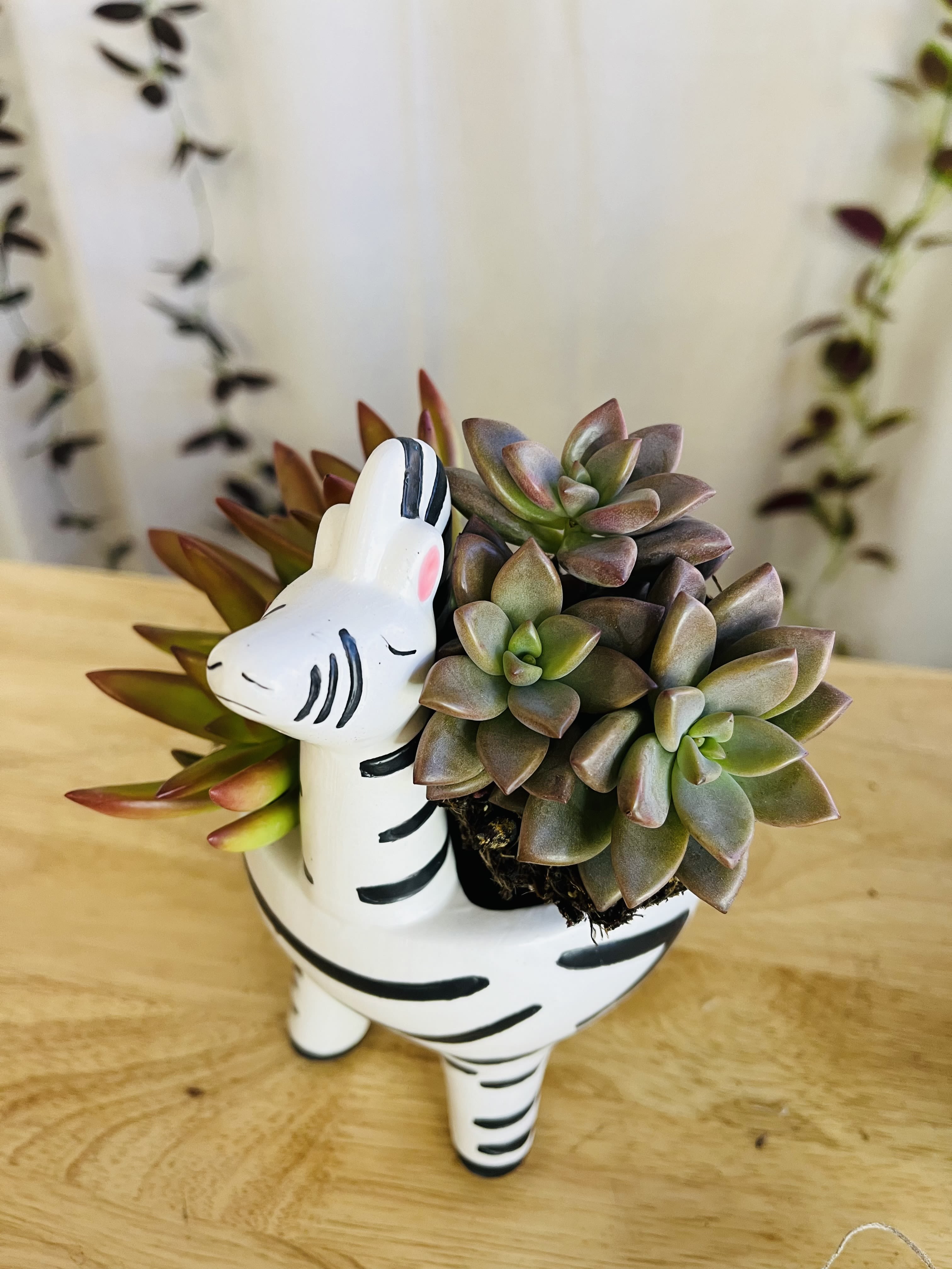 Giraffe in love - Giraffe in love, design with mini natural succulents that you can put on a desk or table.