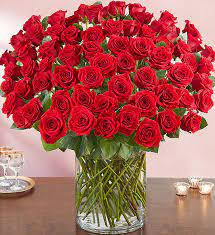 5 Dozen Red Roses In Vase - Make a Statement with our 5 Dozen Red Roses Arrangement. Available in All Red with Filler and Greenery. Available Right Now For The Valentine's Day Holiday.