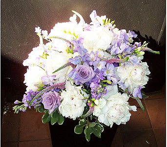 Lavender Delight - white peonies lavender roses lavender veronicas and lavender freesia