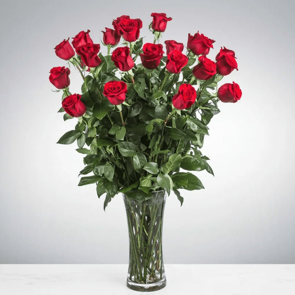 2 Dozen Long Stemmed Roses 2 Dozen Long Stemmed Roses - These two dozen red roses provides the classic romantic gift. It's perfect for Valentine's Day or an Anniversary. APPROXIMATE DIMENSIONS: 30" H X 22" W
