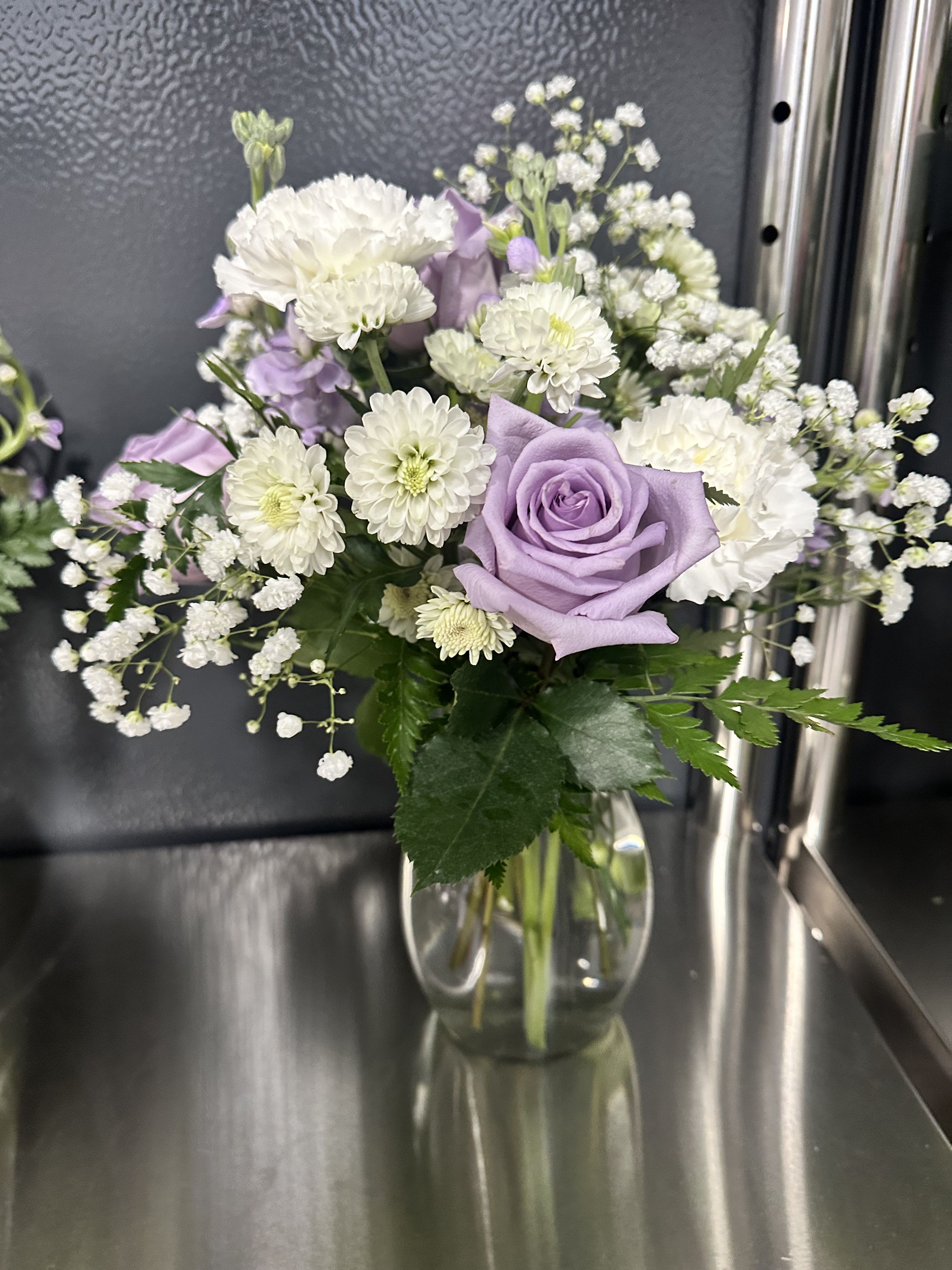 Purple Princess Purple Princess - Lavender roses