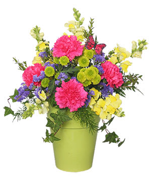 Posie Pocket Posie Pocket - A bright pop of color with hot pink and lime green is brought to the next level with yellow snaps and purple filler