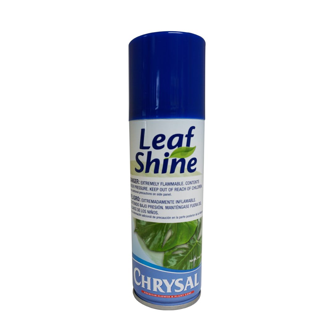 Leaf Shine - Use on foliage plants or cut greens for arrangements. Restores natural freshness, enhancing highlights, beauty and gloss. Gives plants and green foliage a natural healthy look. Anti-static and dust repelling. Makes dust and small imperfections invisible. Silicone based and non-oily. Does not clog leaf pores. Just spray on. No wiping necessary. Odorless and environmentally safe. 4.2 fl oz.