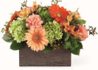 Hello Gorgeous Bouquet - Planter Box filled with Dianthus, hydrangea, carnations, alsroemeria, and gerbera