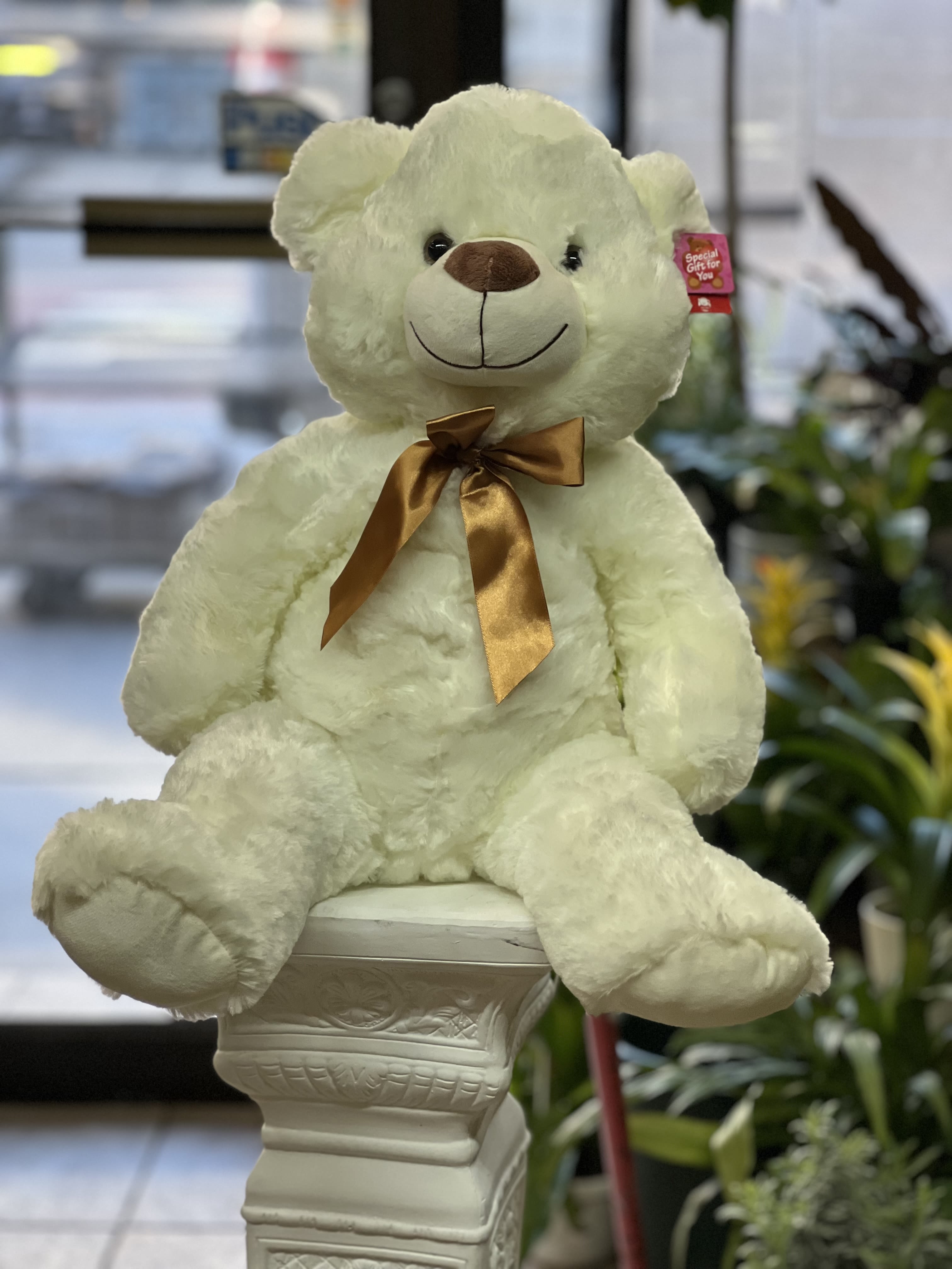 Pretty  - Plush white bear wears a brown bow around his neck with a soft and comfortable makes a great gift for any occasion! 