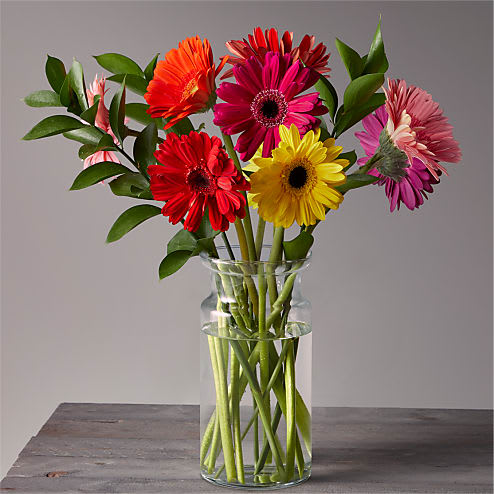 Sun Kissed Gerbera Bouquet - This dream of a bouquet is ready to bring a burst of summer time sunshine to any space. A blooming deluxe bunch of assorted gerbera beauties comes with a clear glass vase and arrives straight from the fields to you or your recipient's door, making it the best surprise for any reason.