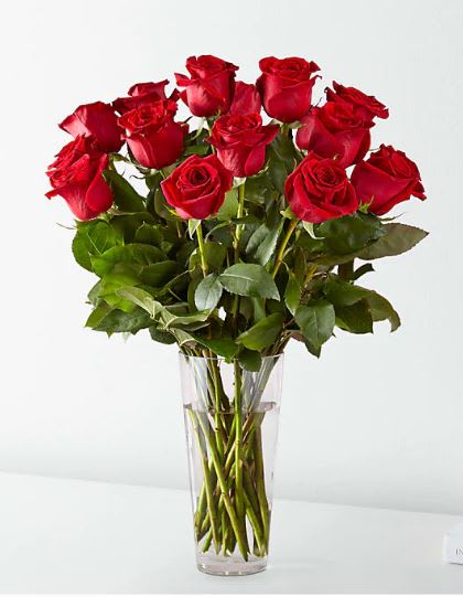 One Dozen Long Stemmed Red Roses by BloomNation™ - These dozen red roses are the classic romantic gift! Perfect for Valentine's Day or an Anniversary.   APPROXIMATE DIMENSIONS: 25&quot; H X 18&quot; W