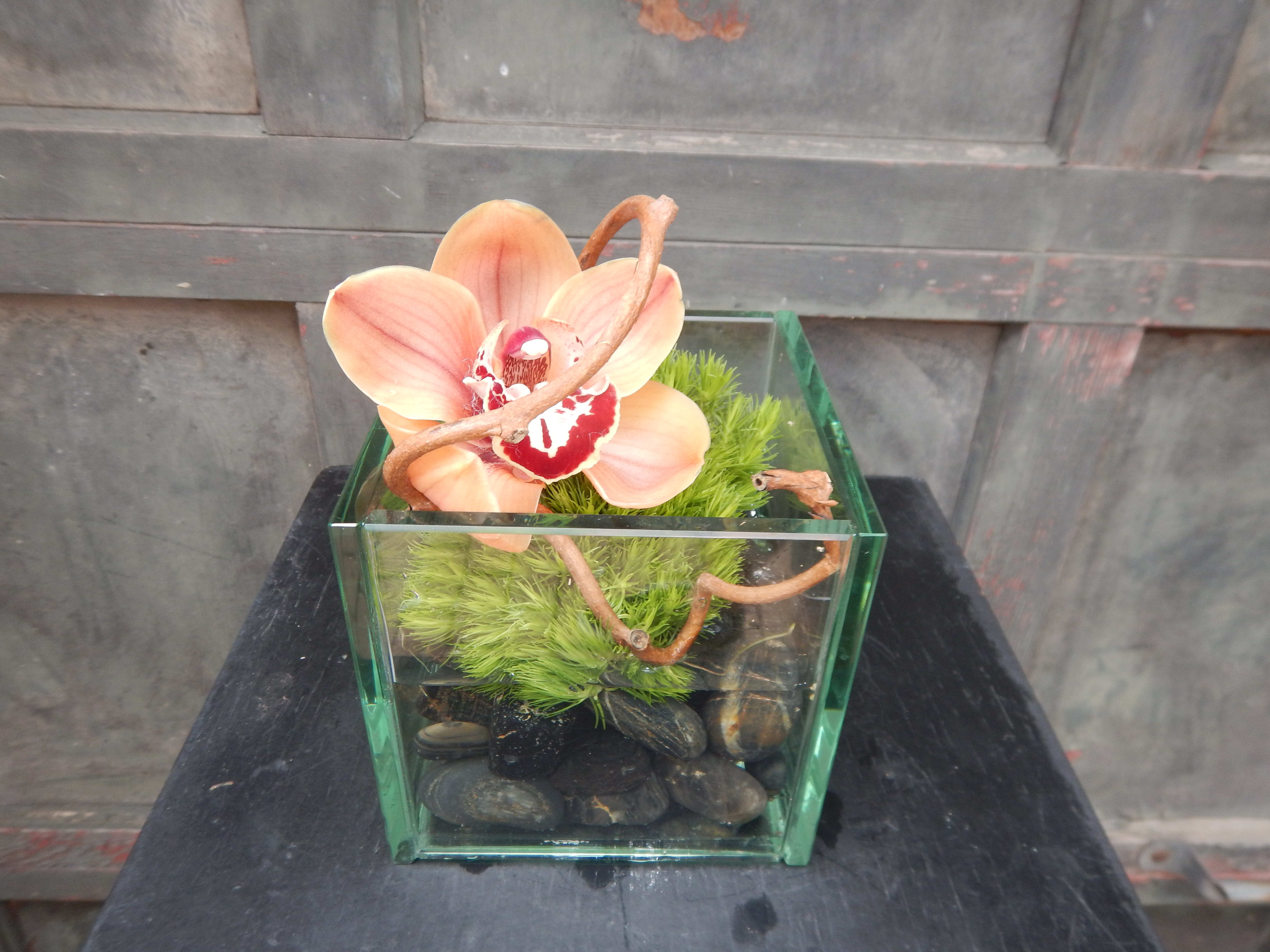 On The Rocks On The Rocks - Clever 5" x 5" fused cube glass vase. Base of the vase will be rocks, resting upon it will be Green Trich, with an organic branch to create movement, with a Cymbidium Blossom. Ideal for a desk. Orchid Color will vary, depending on availability. We use flowers that are available at that given time. The look and the freshness of the flowers are always the most important, therefore the arrangement may vary. Substitutions may be made based on best product available.