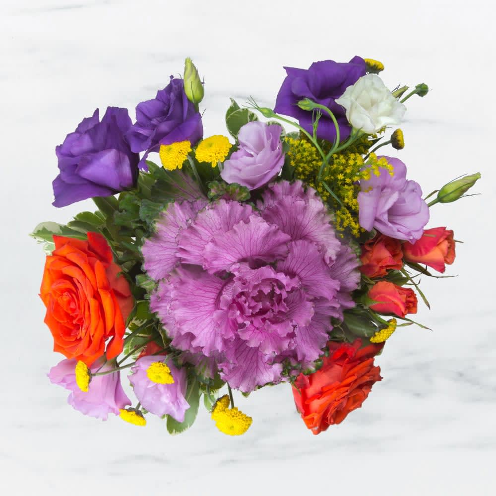 Vibrant Variety by BloomNation™ - This arrangement is seeking a comfortable home. It is willing to impress, please, and wow your recipient in exchange for a place to stay. Does that sound reasonable to you? 