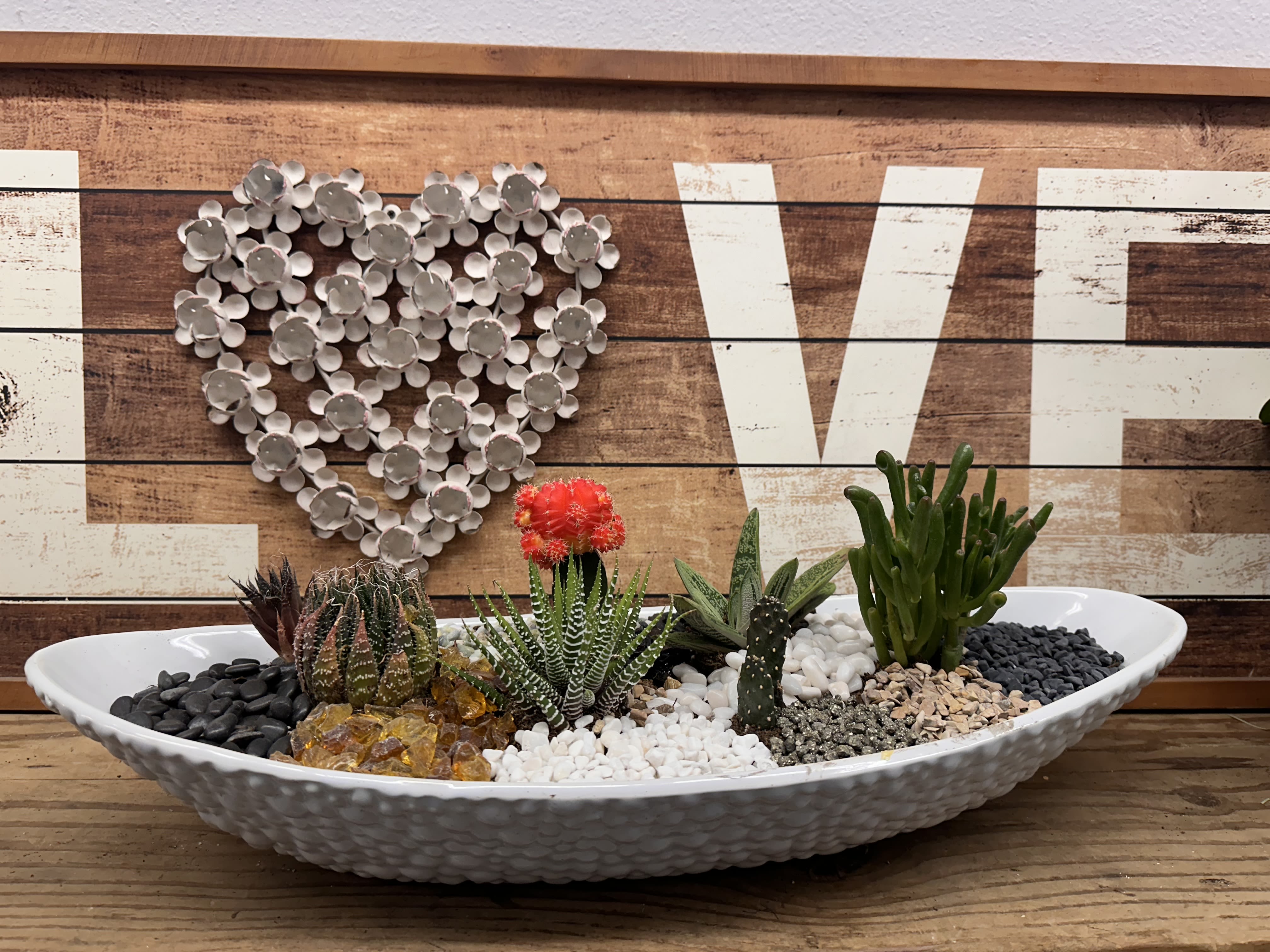 Call of the Wild  - Answer the Call of the Wild with this vibrant, earthy design. A lush assortment of green, hand-selected succulents in a white ceramic oval dish.