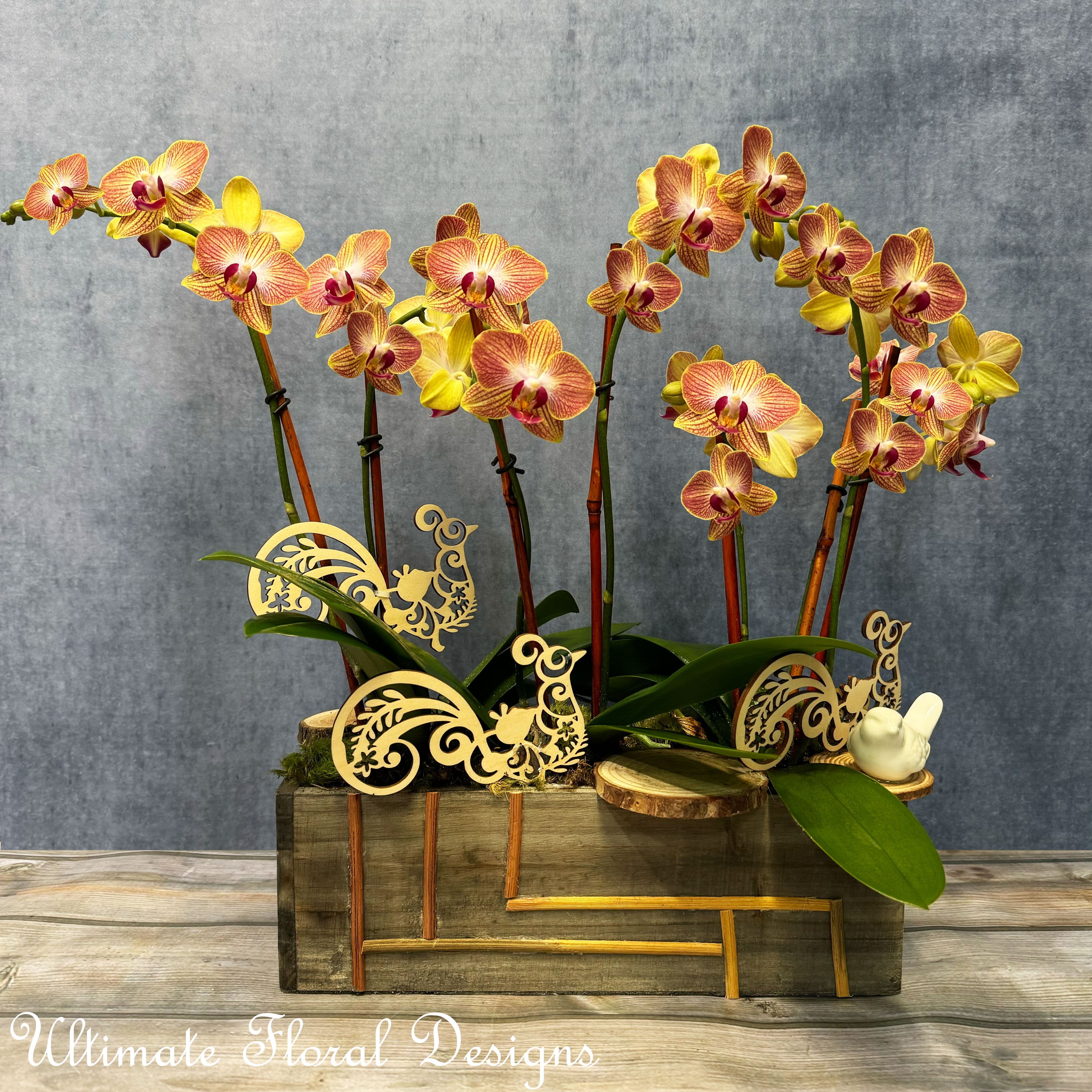 Golden Orchid Symphony - This elegant arrangement features vibrant Phalaenopsis orchids in hues of golden yellow and deep magenta, carefully placed in a modern, geometric wooden container with delicate gold accents. The intricate wooden peacock accents add an extra touch of sophistication and artistic flair, perfect for any occasion that calls for beauty and grace. With its sleek, natural design, this arrangement is ideal for adding a luxurious yet organic touch to your home, office, or event space.