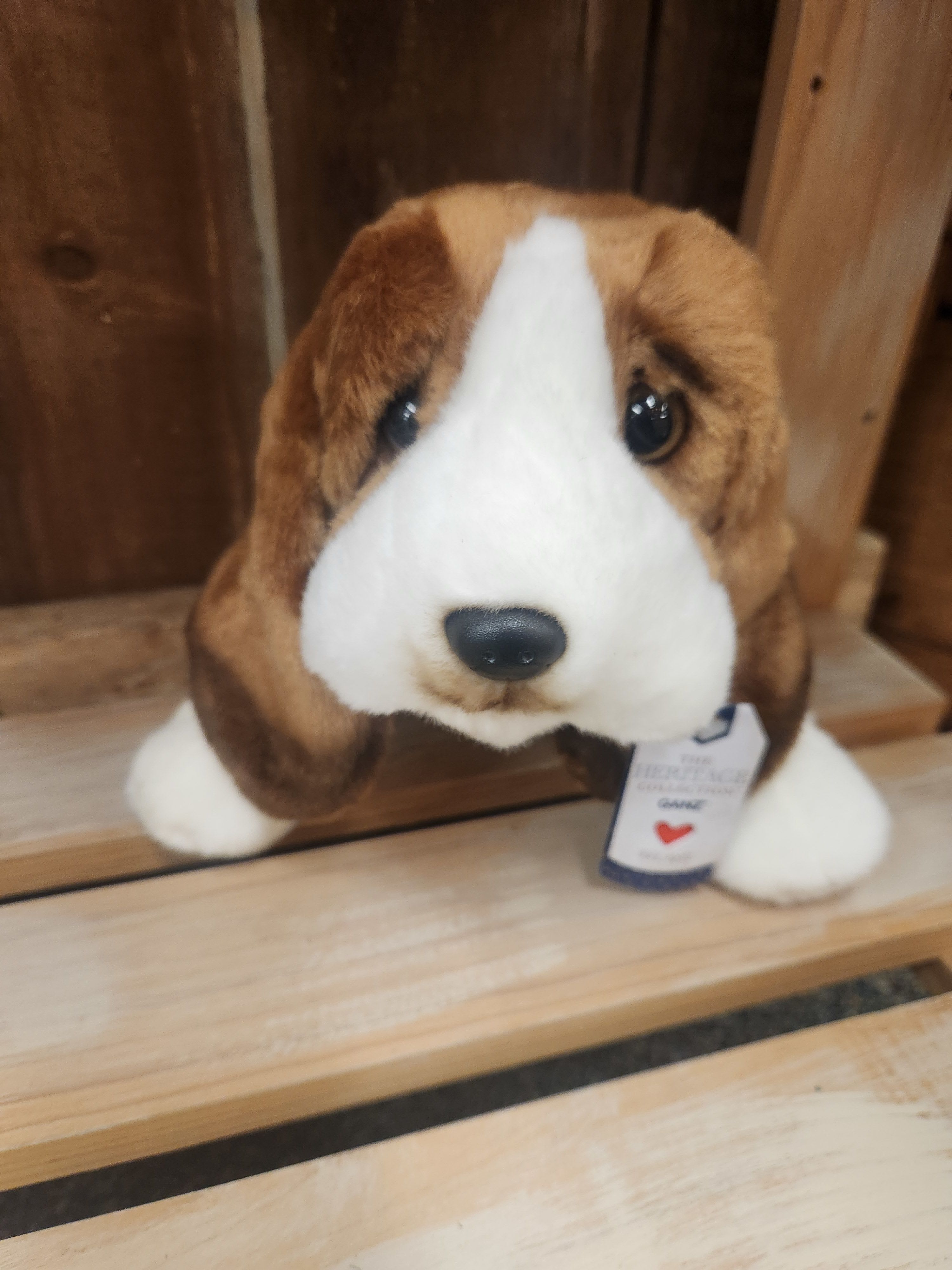 Beagle stuffed animal Beagle stuffed animal - soft and plush beagle stuffed animal for your dog lover. Great to add to a vase of flowers.