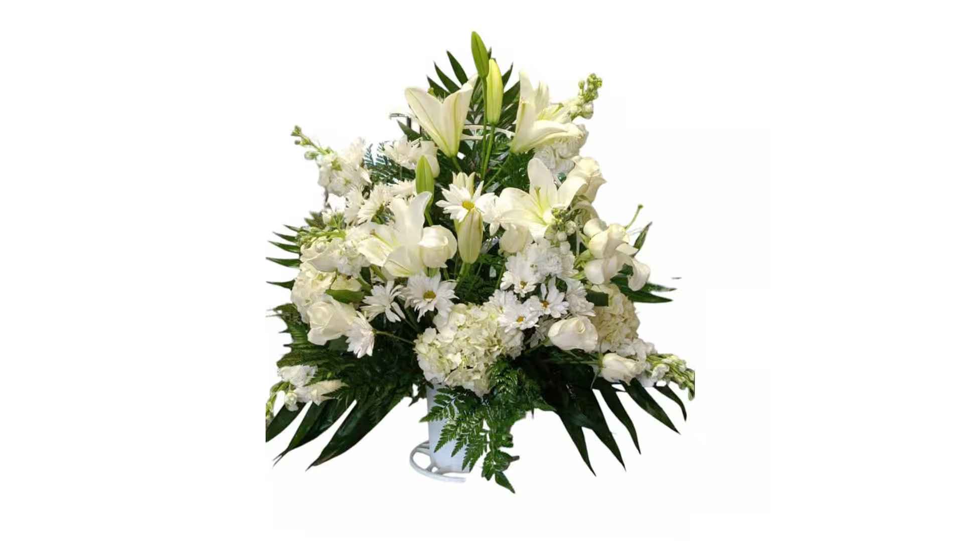 White Memories White Memories - Introducing "white memories," a captivating bouquet of elegance that serves as a cherished memory and a heartfelt tribute to those who have departed. This exquisite creation evokes a sense of nostalgia and tranquility, capturing the purity and innocence found in treasured memories of a simpler time. Send a heartfelt message of comfort and love to those in mourning with our "white memories" funeral bouquet. Let its timeless elegance and tranquil presence be a source of solace during this difficult time. Elevate your expression of love and sympathy with the enchanting allure of our "white memories" funeral bouquet. Meticulously arranged by our skilled florists, this breathtaking creation promises to infuse any funeral setting with a sense of serenity, sophistication, and heartfelt tribute. The "white memories" bouquet gently cradles an assortment of pure white flowers, each carefully selected for their timeless beauty. The delicate petals exude grace and purity, symbolizing the epitome of elegance and honoring the precious memories of your departed loved one.