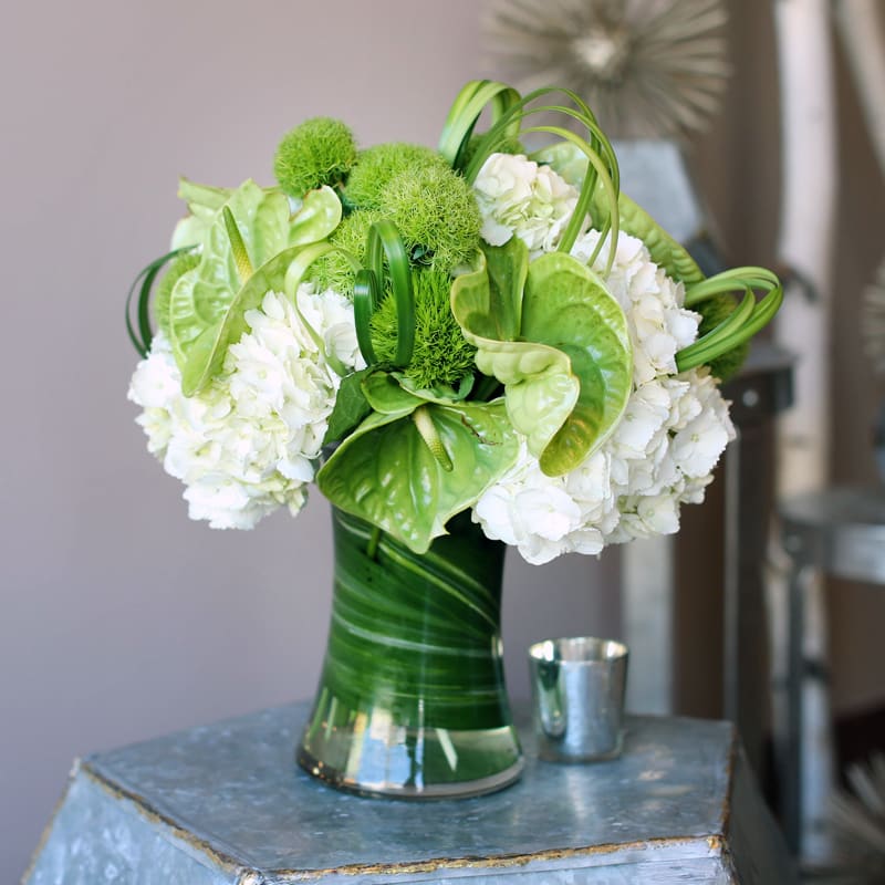 Green anthurium adorned with white accents Green anthurium adorned with white accents - Green and white are a very neutral palette