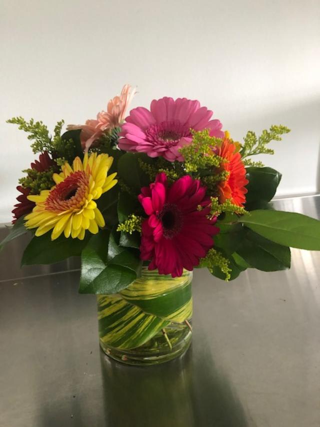 Just Bloom - A beautiful display of gerbera daisies in a low cylinder vase. Packs a punch. 