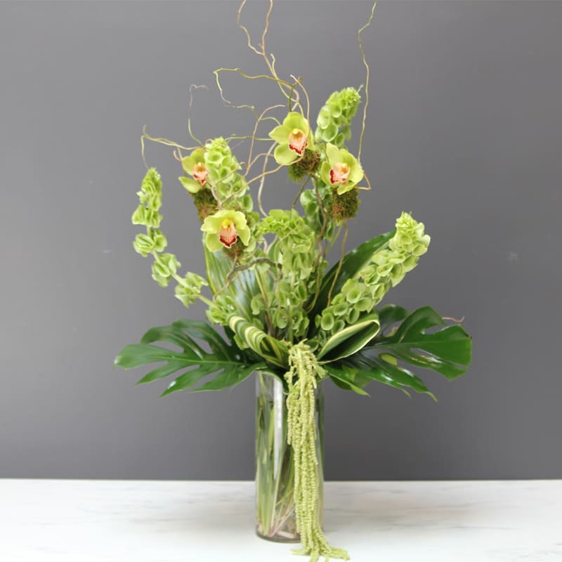 Green Goddess - A beautiful green arrangement of Orchids and Bells of Ireland. This arrangement is perfect for a home foyer or office. Approx. 2 ft.