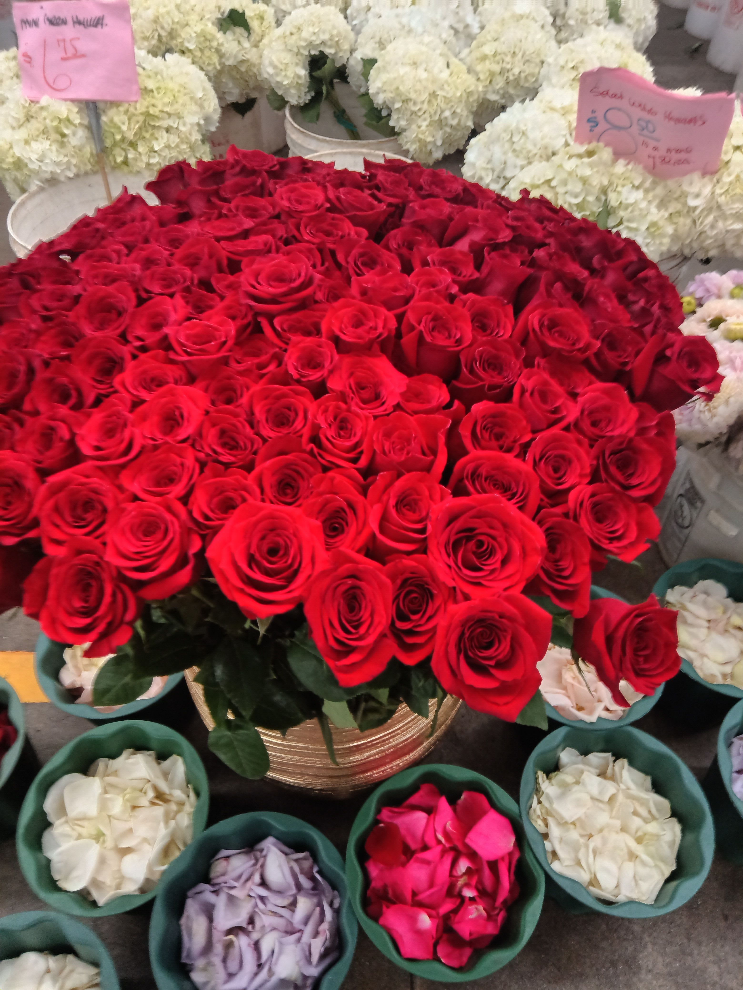 Red roses by bel air florist - Large red roses arrangements by bel air florist