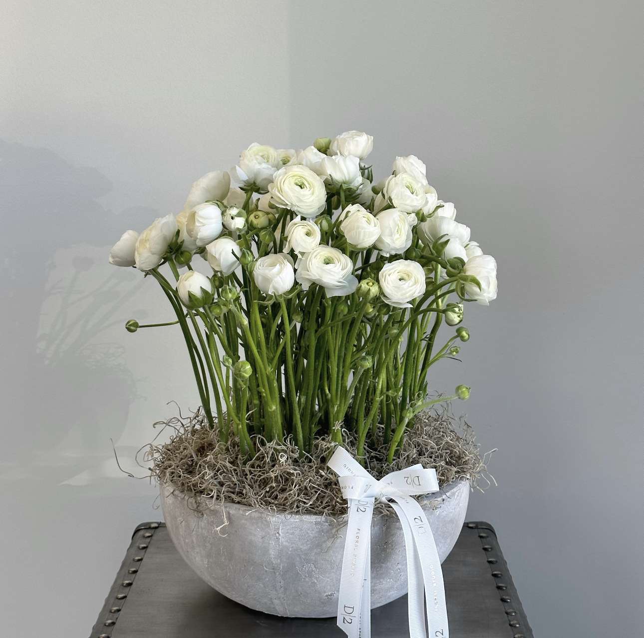Elegance Elegance - This elegant mono ranunculus arrangement features a single type of delicate ranunculus flowers carefully arranged in a stylish vase. The vibrant blooms are showcased beautifully, creating a stunning focal point that exudes sophistication and grace.