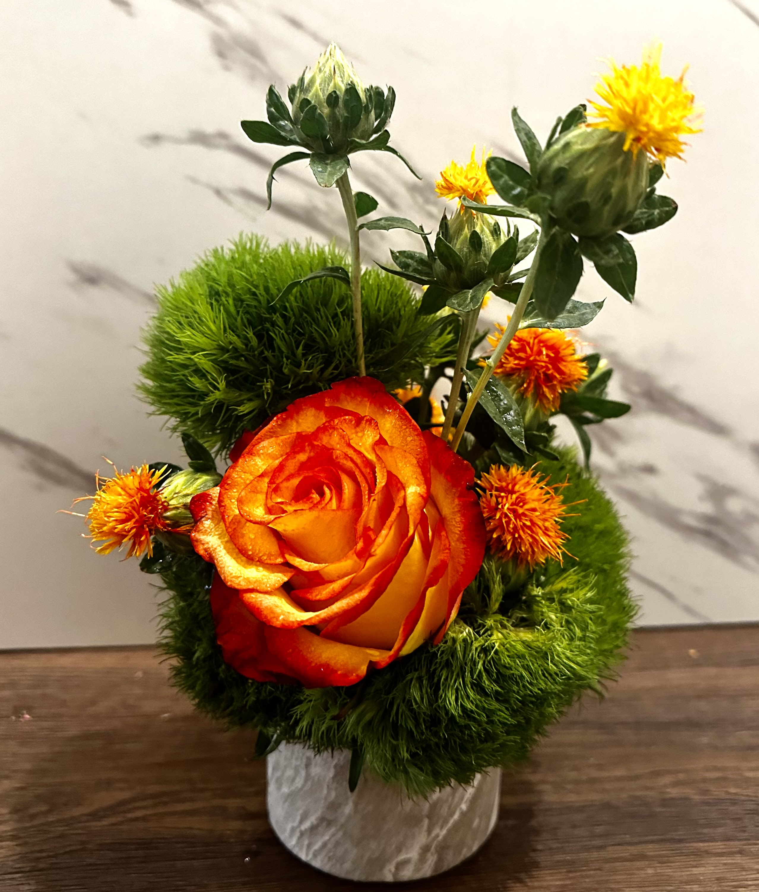 Citrus Burst - Bursting with energy and color, this arrangement is perfect for adding a touch of zest to any room. Featuring a striking bi-color orange rose, paired with vibrant safflower stems and soft, textured green dianthus, this arrangement brings a sense of freshness and vitality. Set in a sleek ceramic vase, Citrus Burst is a perfect pop of color for any occasion, from birthdays to just brightening someone's day.  Its compact size makes it ideal for a desk or small space while still making a bold statement.